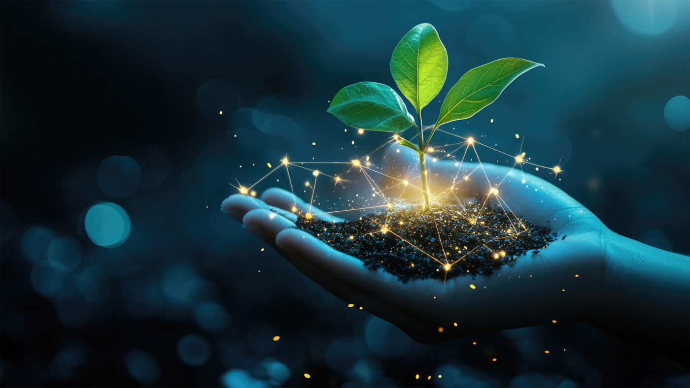 Prioritise Sustainability For the Win