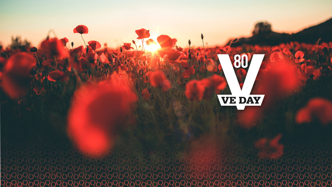 Moody shot of a poppy field at sunset with the VE80 logo